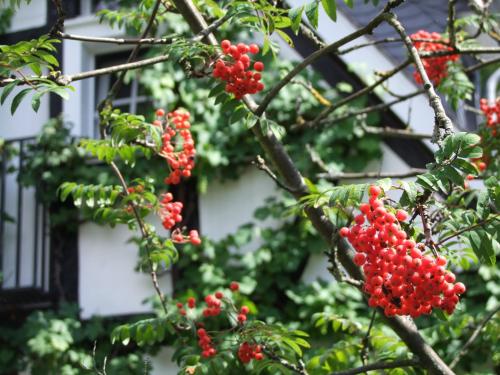 Malerwinkel Hotel - image 7