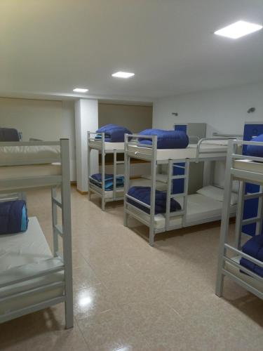 Bed in 10-Bed Mixed Dormitory Room