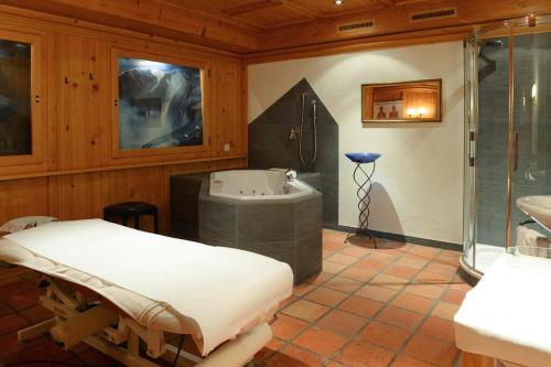 Hotel Viktoria Eden - image 7
