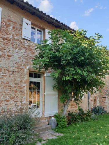 . LE GITE DU CARGE D'ARLAY