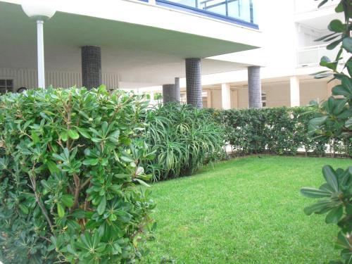  Apartamento Guardamar de la Safor in Daimuz