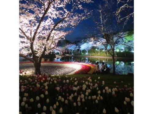 Kanzanji Sago Royal Hotel - Vacation STAY 43399v