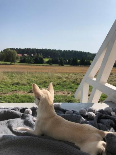 Giżycko-Przerwanki Domki Widok na Mazury