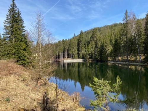 Apartman Anna Viktoria v Brcalniku in Zelezna Ruda