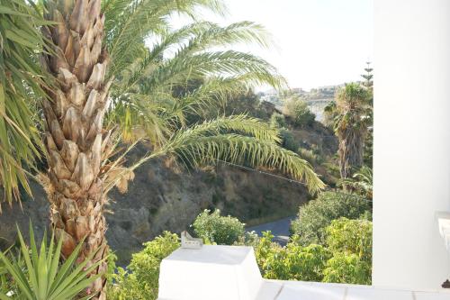 Garden, Lofos Hotel in Plakias