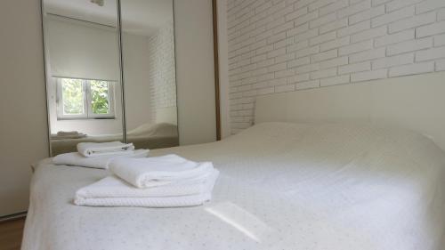 One-Bedroom Apartment image 3