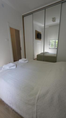 One-Bedroom Apartment image 2