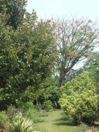 卢玛萨瓦住宿加早餐旅馆 卢玛萨瓦住宿加早餐旅馆