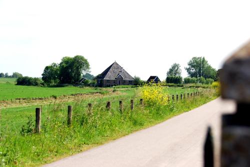 Bed In Waterland - image 3