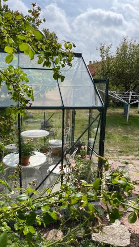 Peppinge Bed & Breakfast - Rapsbollen - image 11