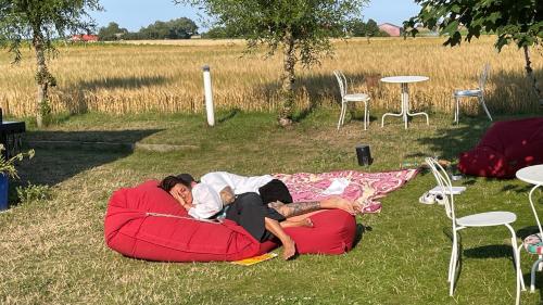 Peppinge Bed & Breakfast - Rapsbollen - image 10