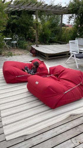 Peppinge Bed & Breakfast - Rapsbollen - image 13
