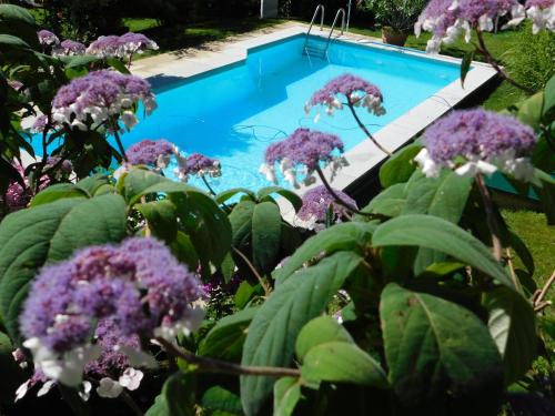  Four Seasons Apartment "GREEN PARADISE" in Villach