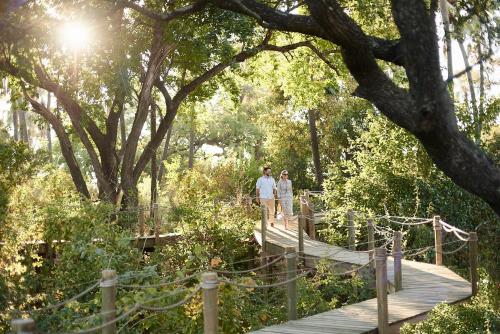Stilted Suite - Island Treehouse Suites image 10