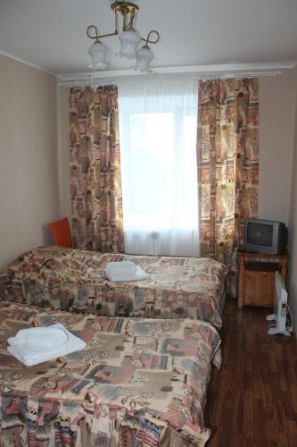 Staraya Ladoga Hotel - image 6