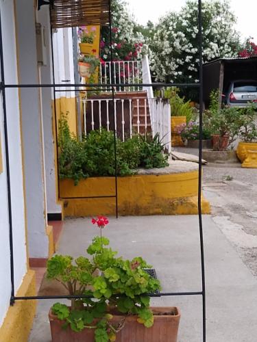 磨坊乡村民宿 磨坊乡村民宿