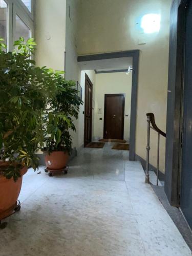 B&B House S. Ferdinando - image 12