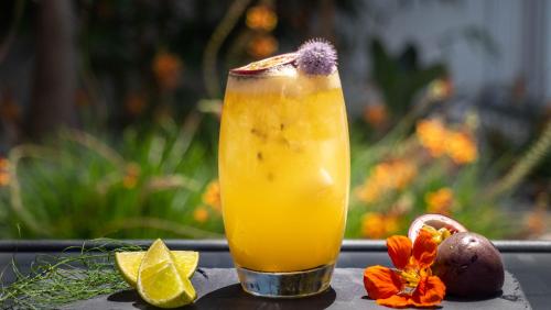 Canadiano Urban Nature Hotel - image 11