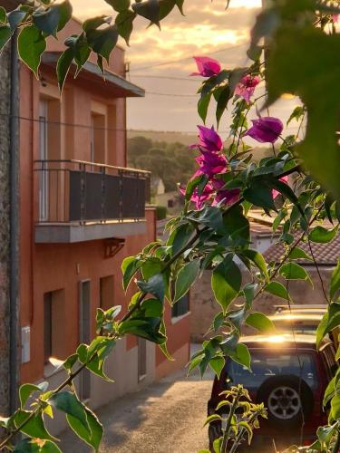  Casa les Orenetes, costa brava, Ferienwohnung in Garriguella