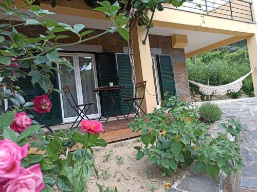 ทางเข้า, Vineyards Valley House in คารามูโล