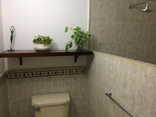 NUBE TERRAZA Apt at the Hotel Zone Entrance best location downtown
