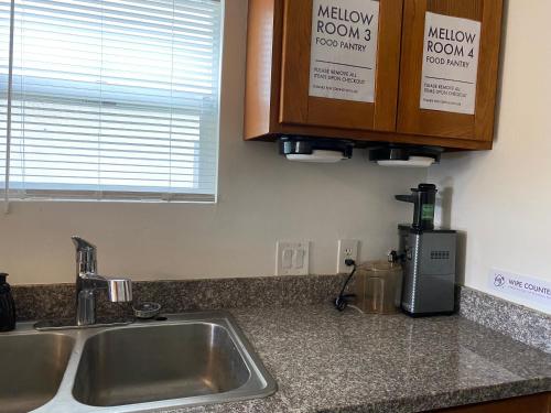 WHOLE Family - Barrette (front) in Old North Sacramento