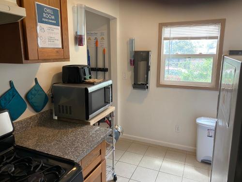 WHOLE Family - Barrette (front)