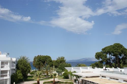 Marathon Beach Resort - image 13