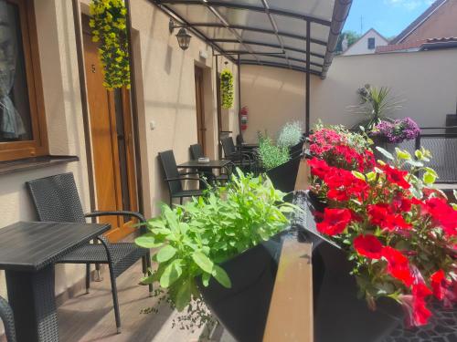 Apartmány Aranka
