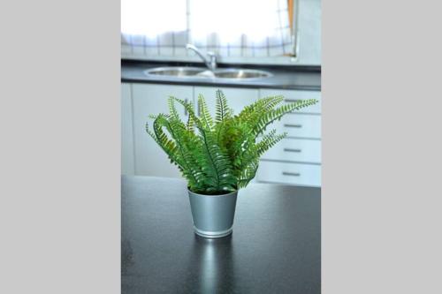  Ca la Paquita in Penellas