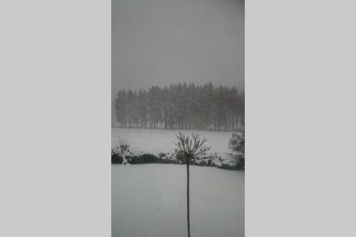 Ruhe Oase mit tollem Fernblick inmitten der Natur