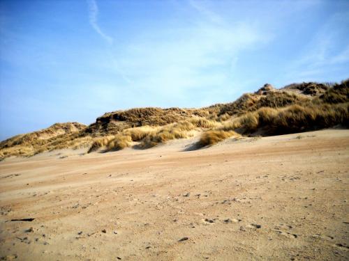Lautrec, Bredene