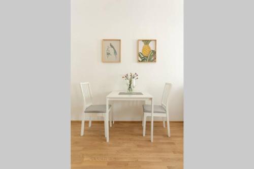 Studio-Apartment between Schoenbrunn & the City Center (13)