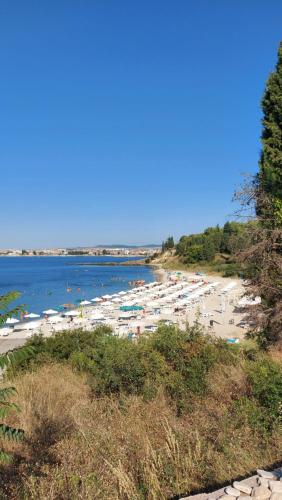 ネセバル Акротирия Фешева 4つ星 シングルルーム ロビー