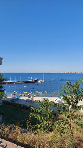 ネセバル Акротирия Фешева 4つ星 シングルルーム レストラン