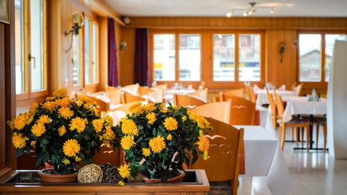 Restorāns, Hotel Alpina in Ulrichen