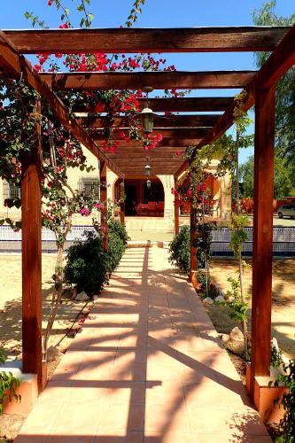  VILLA BUGANVILLA in Elche