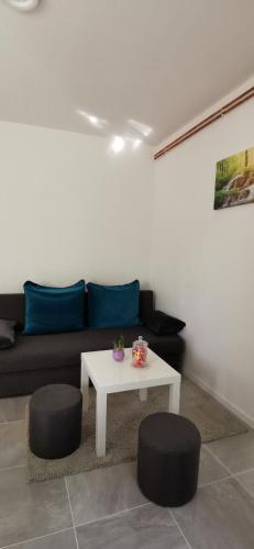 APARTMAN DEDA, Rakovica (foto 4)