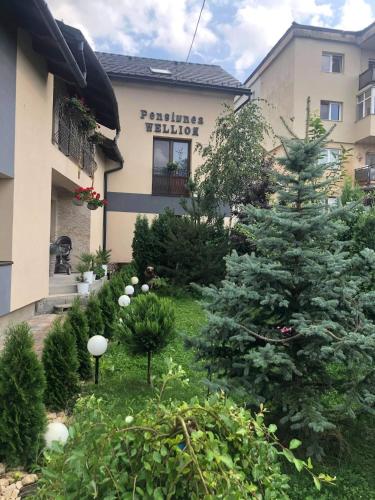 B&B Covasna - Wellion - Bed and Breakfast Covasna