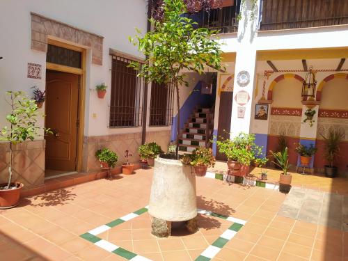Apartamento patio de San Lorenzo VFT/CO/00990, Córdoba (photo 7)