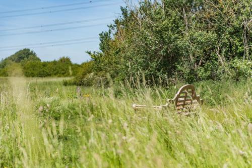 Snipe Barn - image 10