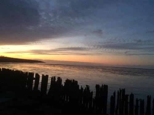 Wad'n Dream in Moddergat