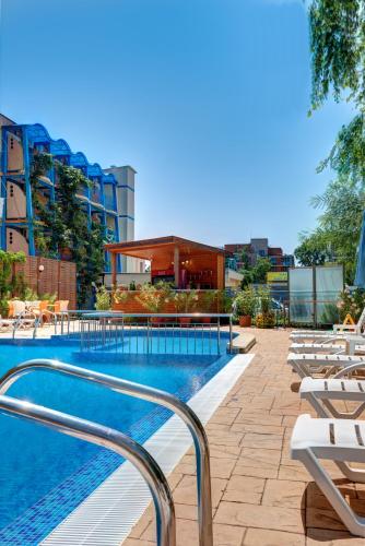 Paloma - in the center of the city, 