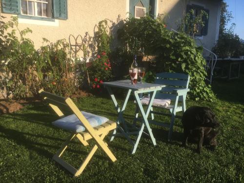  Kellerstöckl am veganen Bio-Lebenshof - nur für Hundefreunde empfohlen ! in Sulb