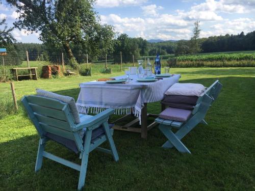 Kellerstoeckl-am-veganen-Bio-Lebenshof-nur-fuer-Hundefreunde-empfohlen in Loipersdorf