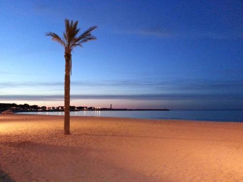 Hotel Altamarea - image 3