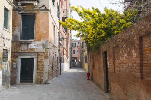 Ca' Canciani, Wenecja (zdjęcie 8)