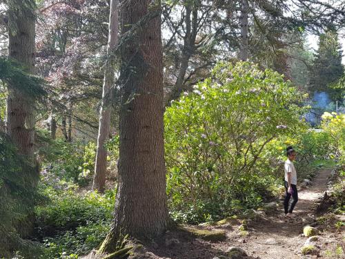 周邊環境, Cambus O' May Traditional Highland Hotel in 巴拉特爾
