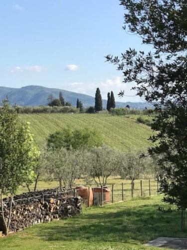 LE SERRE del CERRETO gîte à louer Borgaccio