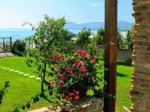 Appartamento Bouganville 2 gîte à louer Santa Lucia